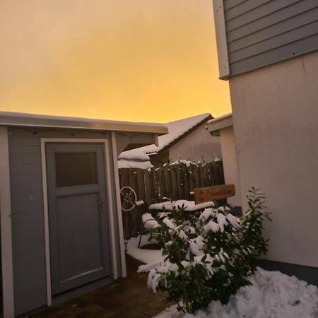 Moewenstuebchen Lägenhet Zingst Exteriör bild