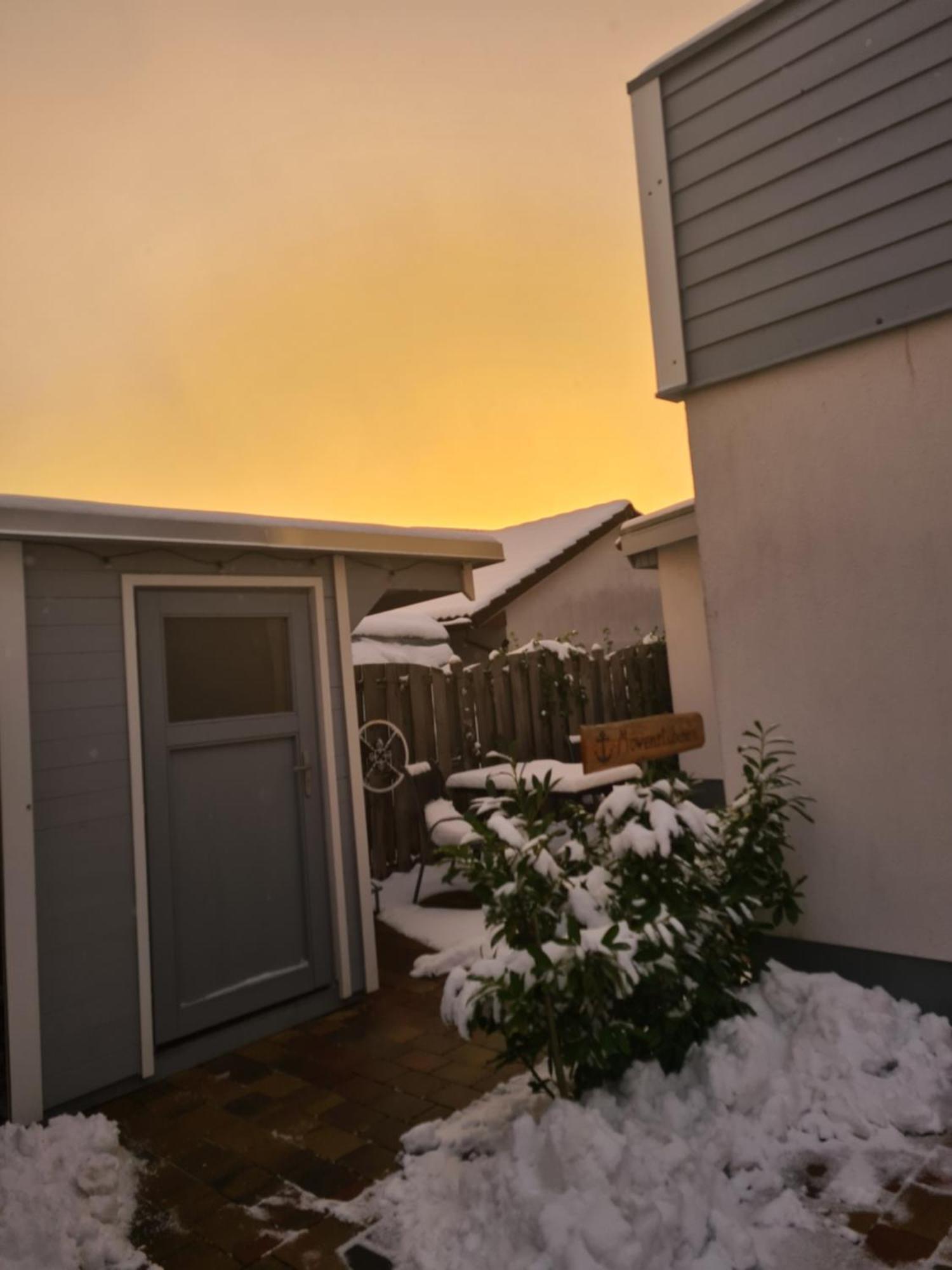 Moewenstuebchen Lägenhet Zingst Exteriör bild